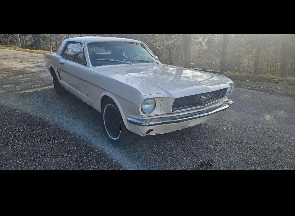 Ford Mustang 1966 photo 3