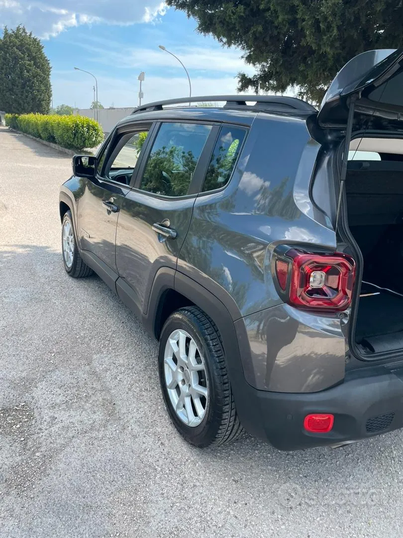 Jeep Renegade 2019 photo 2