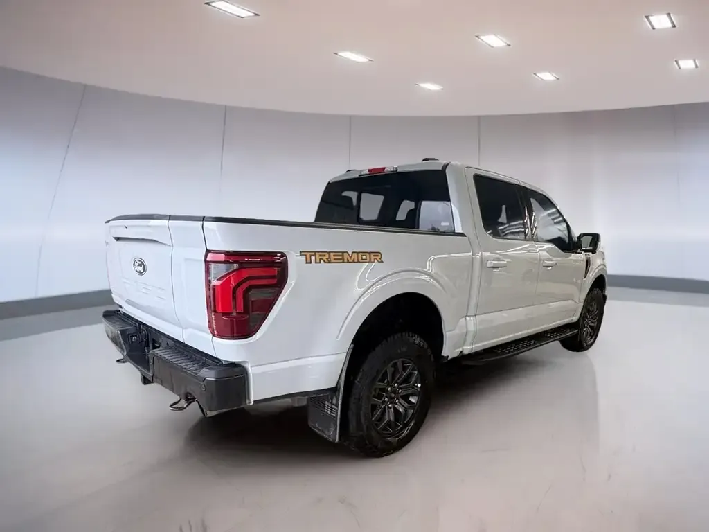Ford F-150 2025 photo 4