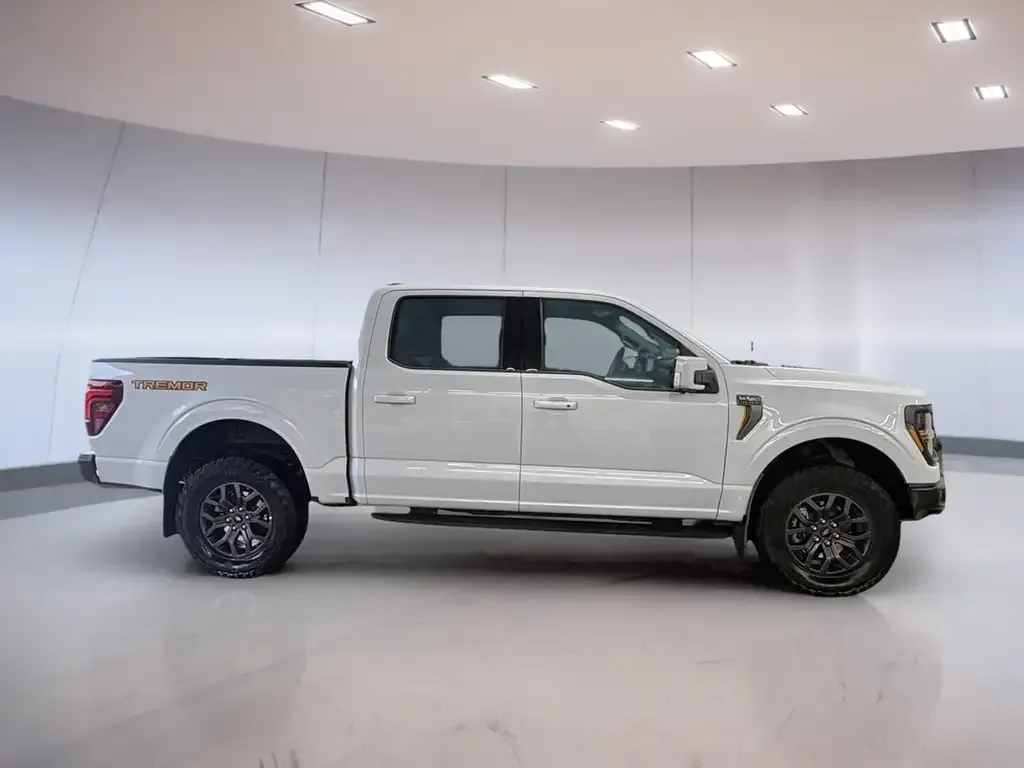 Ford F-150 2025 photo 3
