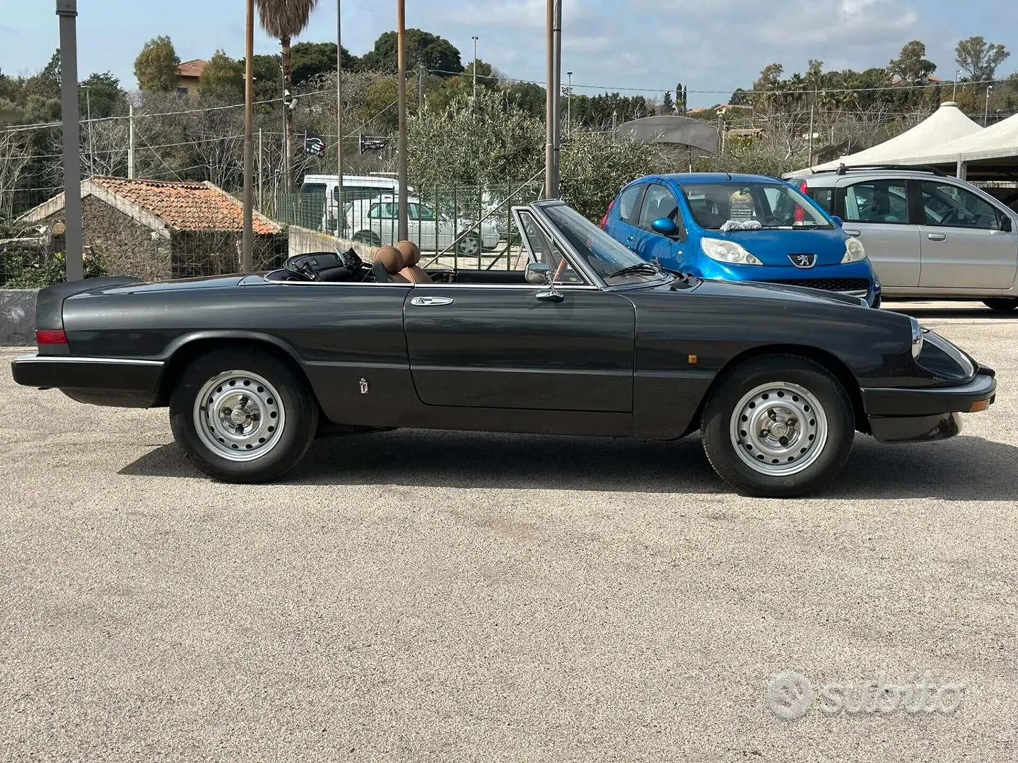 Alfa Romeo Spider 1984 photo 5