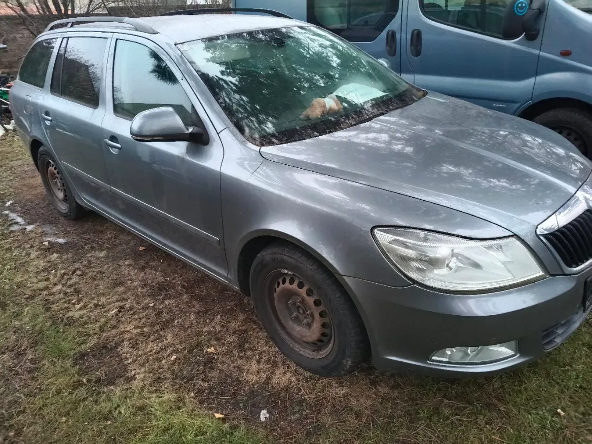 Skoda Octavia 2013 photo 2
