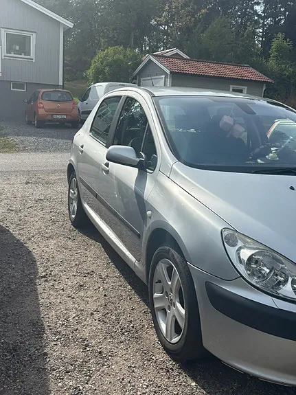 Peugeot 307 2002 photo 5