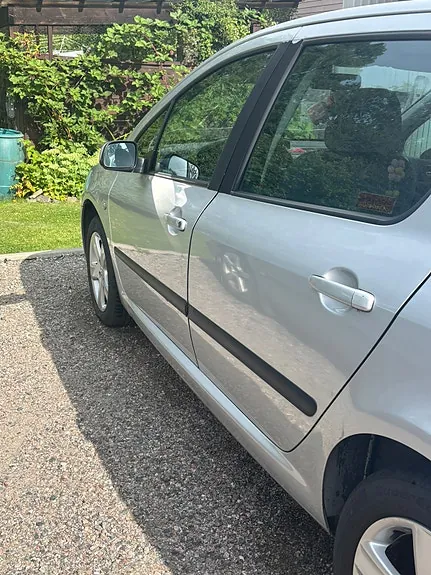 Peugeot 307 2002 photo 2