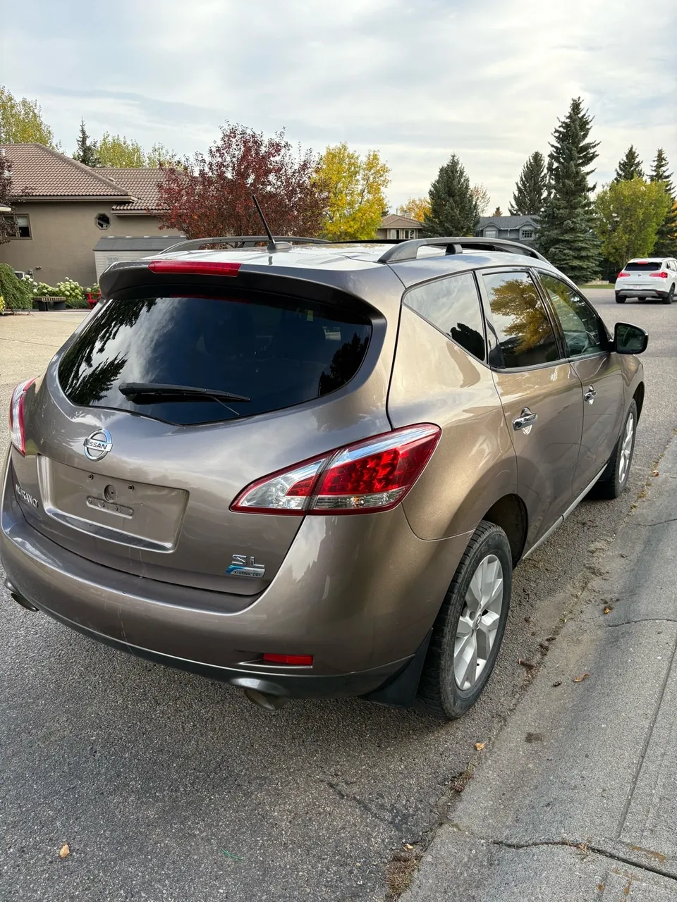 Nissan Murano 2012 photo 3