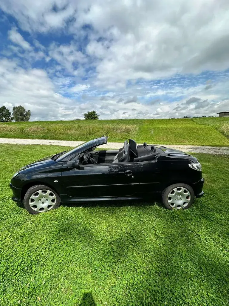 Peugeot 206 2005 photo 3