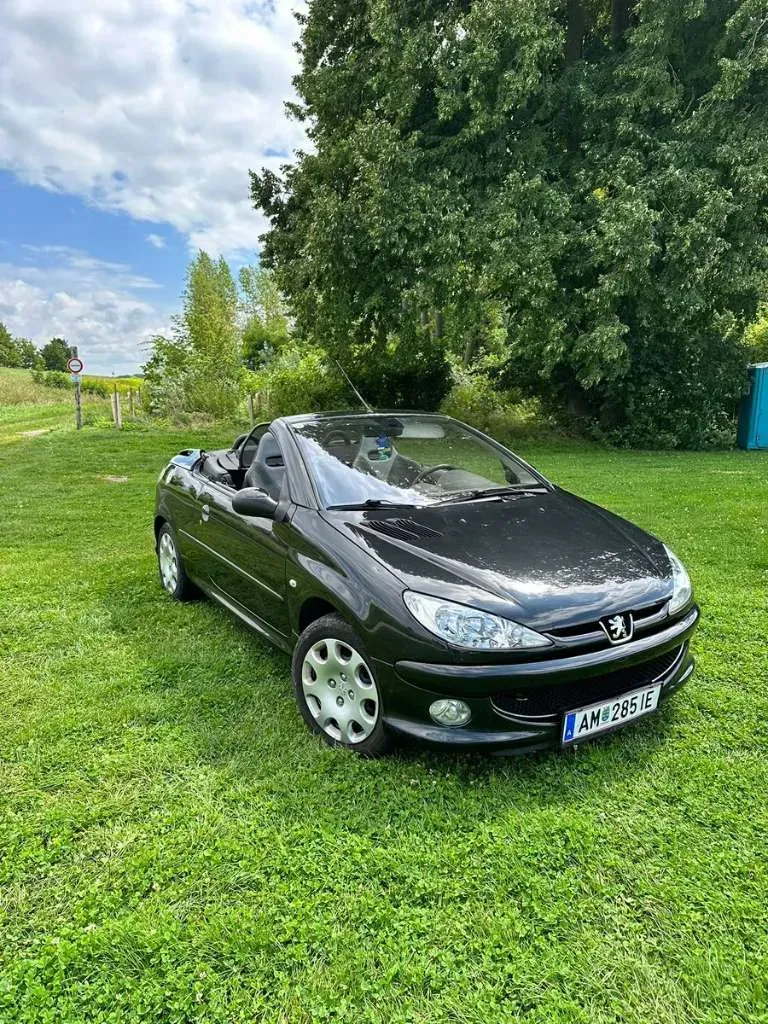 Peugeot 206 2005 photo 2