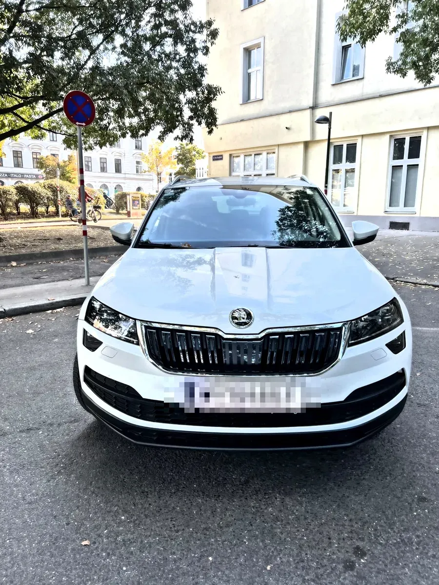 Skoda Karoq 2018 photo 2