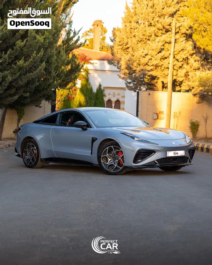 Neta Gt