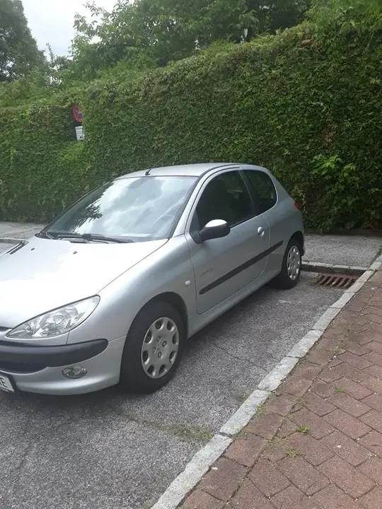 Peugeot 206 2004 photo 2