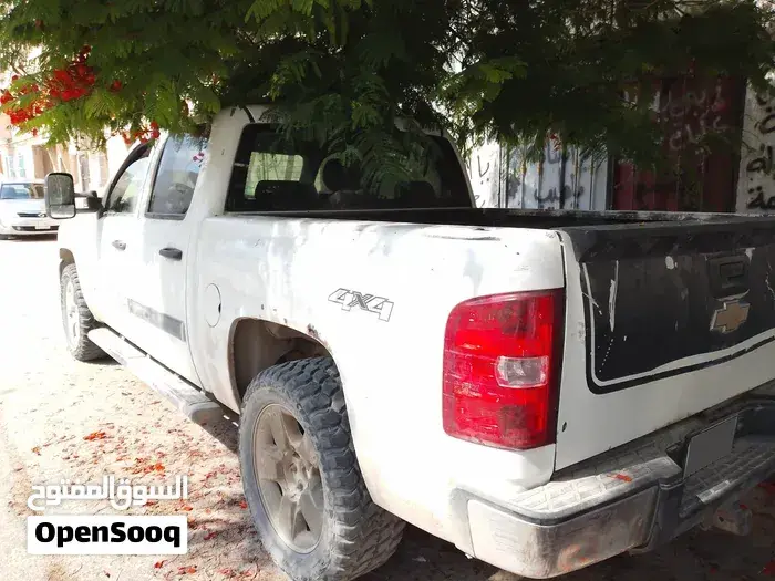 Chevrolet Silverado 2009 photo 5
