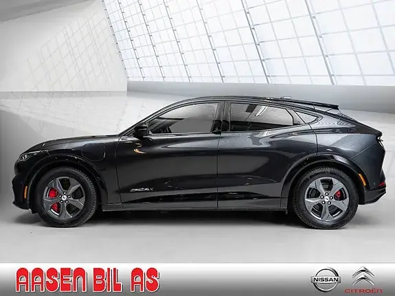 Ford Mustang Mach-E 2022 photo 4