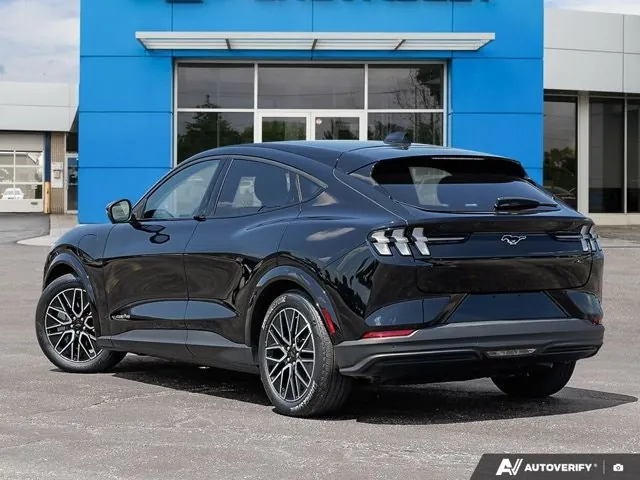 Ford Mustang Mach-E 2025 photo 4