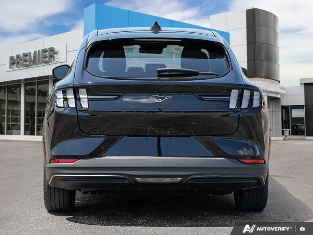 Ford Mustang Mach-E 2025 photo 5