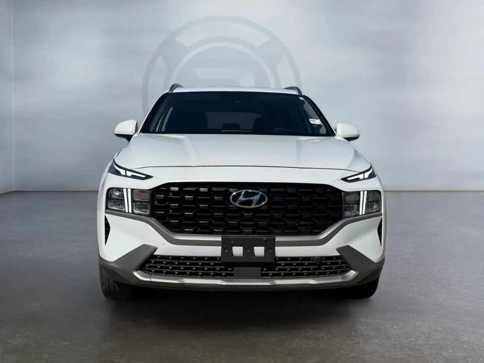 Hyundai Santa Fe 2021 photo 2