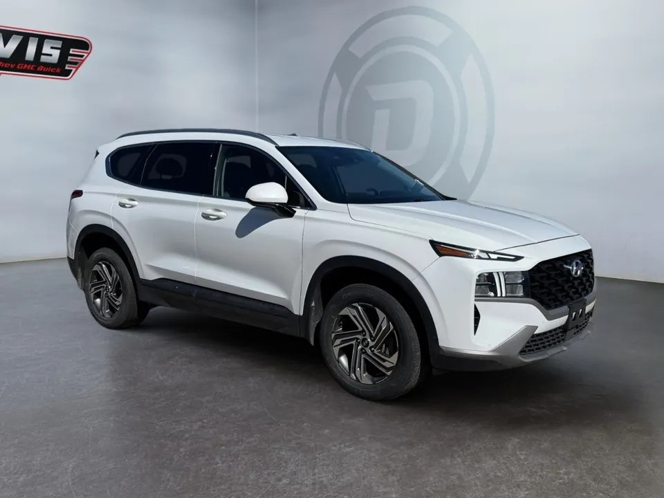 Hyundai Santa Fe 2021 photo 3