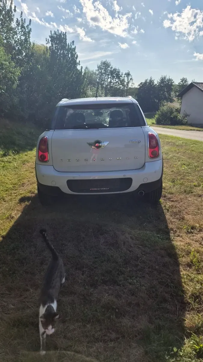 Mini Countryman 2016 photo 3