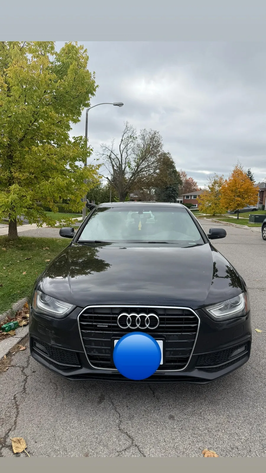 Audi A4 2015 photo 2