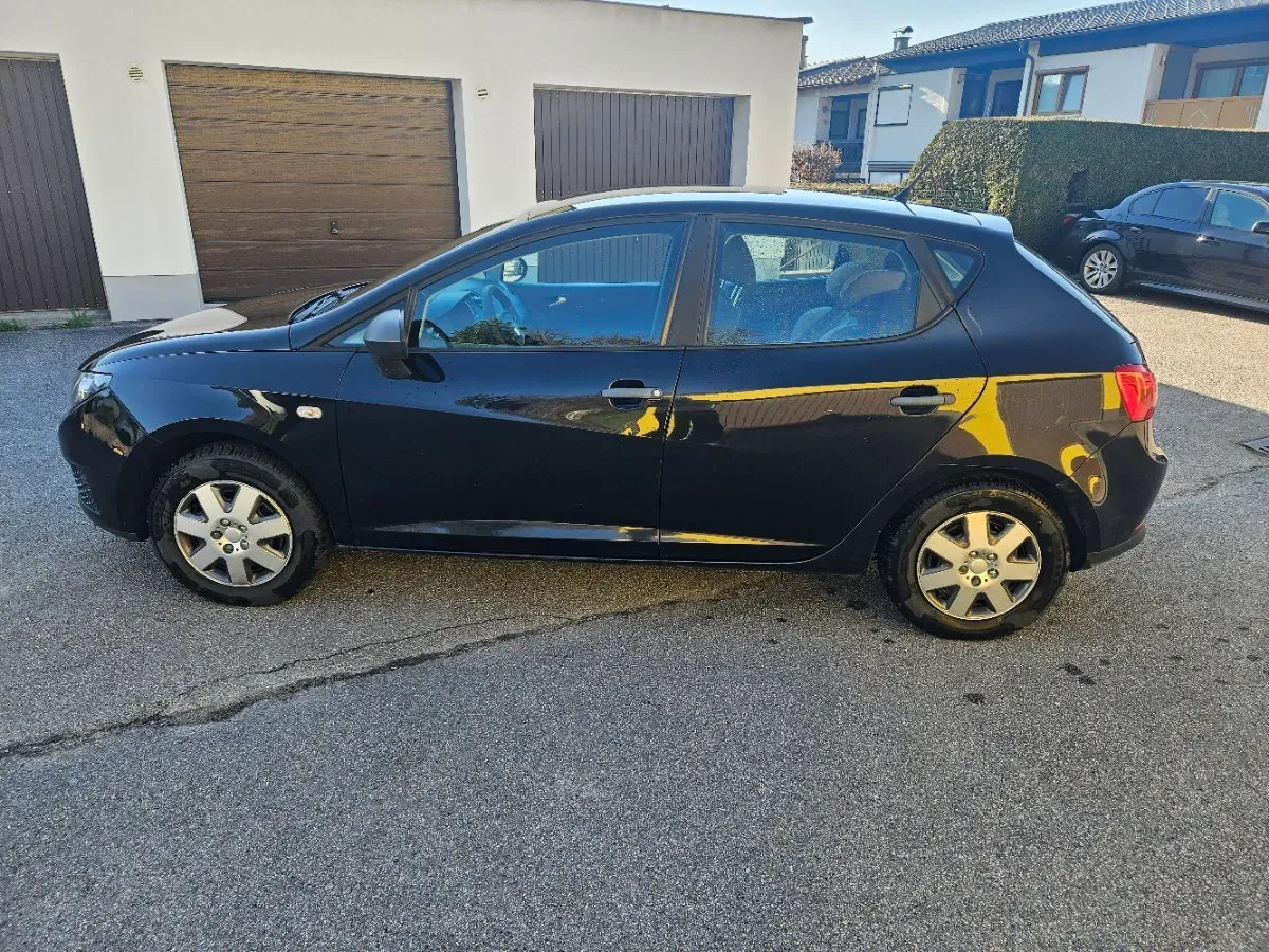 Seat Ibiza 2010 photo 3