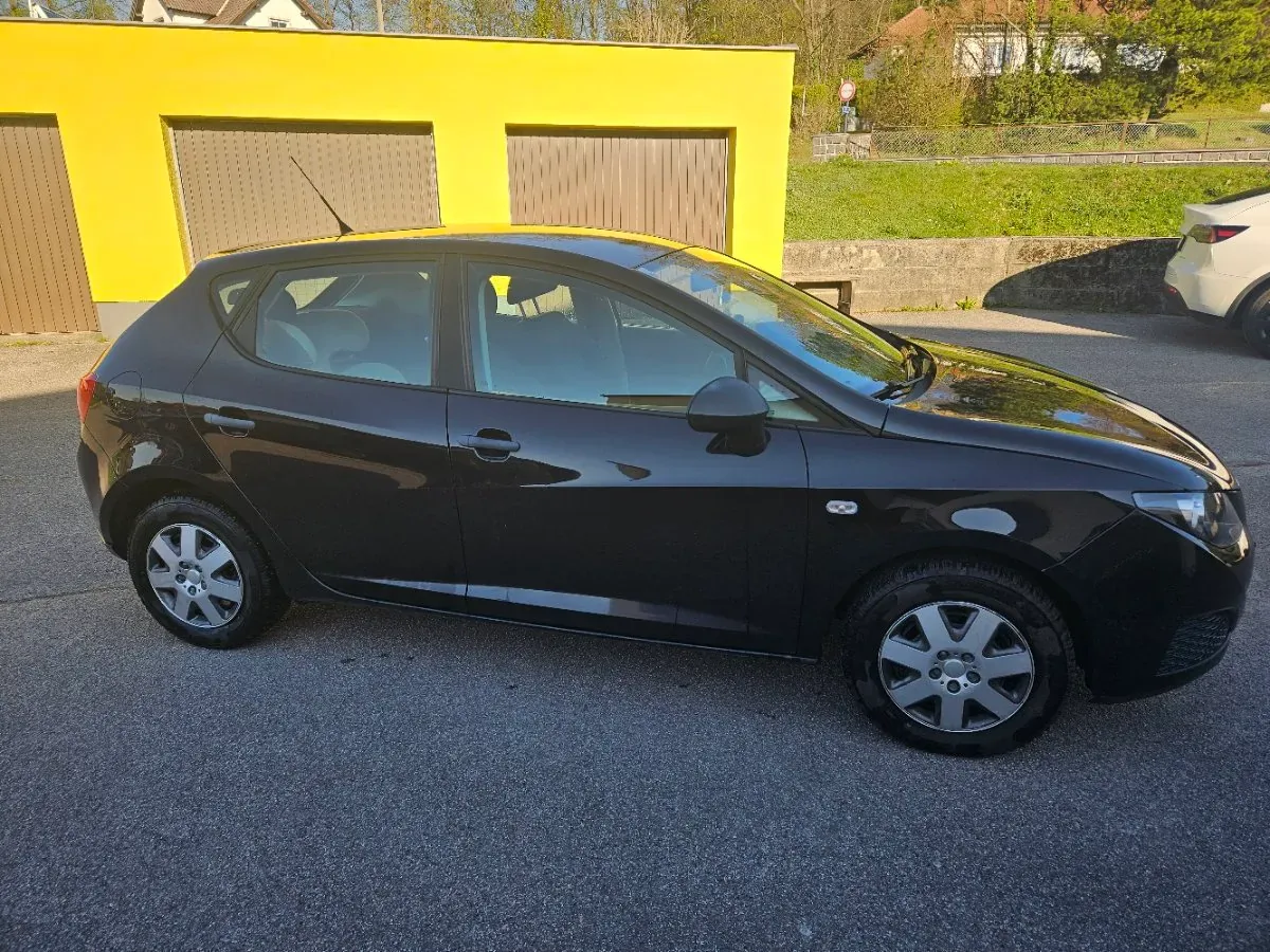 Seat Ibiza 2010 photo 2