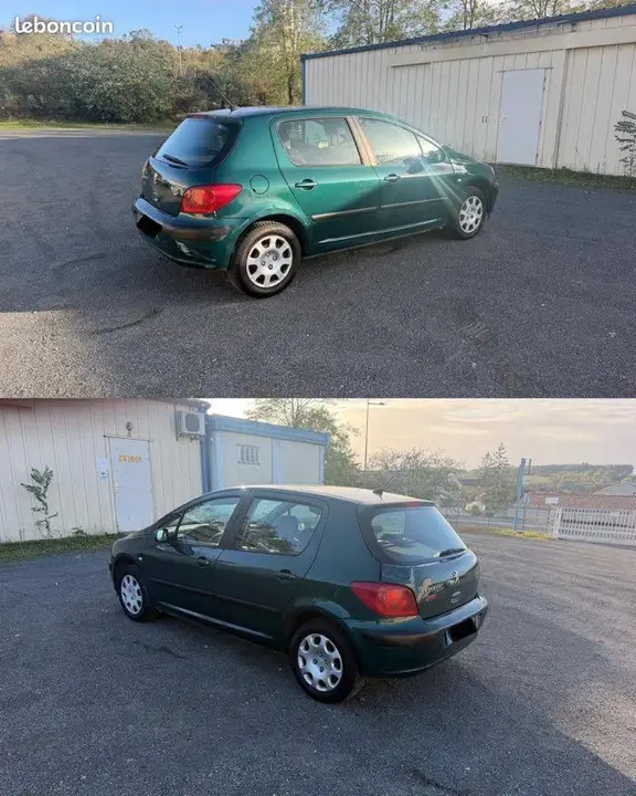 Peugeot 307 2002 photo 3