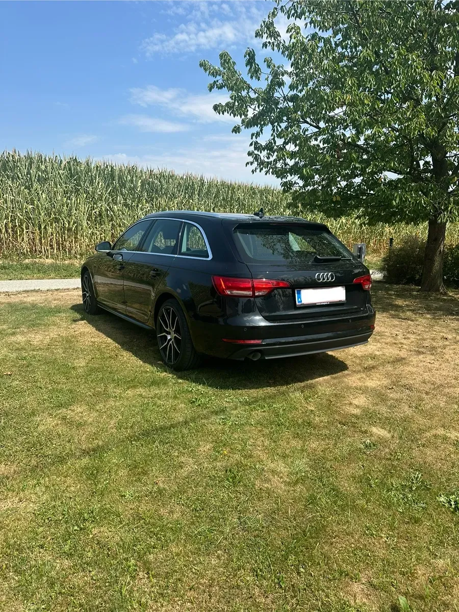 Audi A4 2016 photo 3