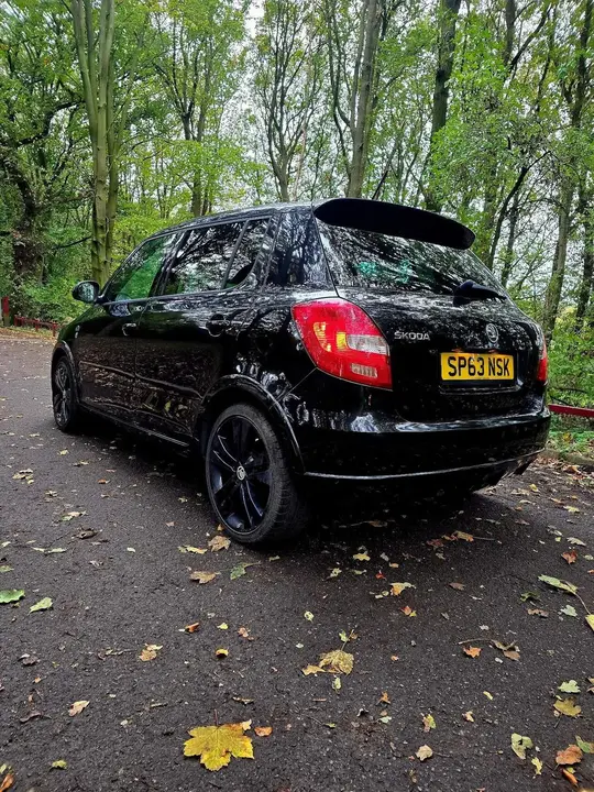 Skoda Fabia 2013 photo 4