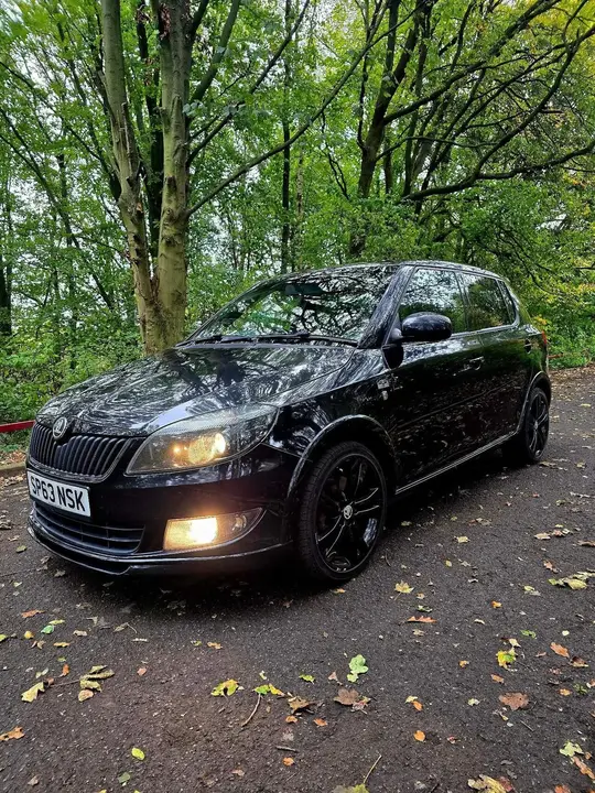 Skoda Fabia 2013 photo 2