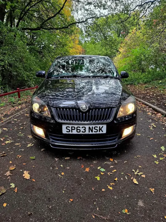 Skoda Fabia 2013 photo 3