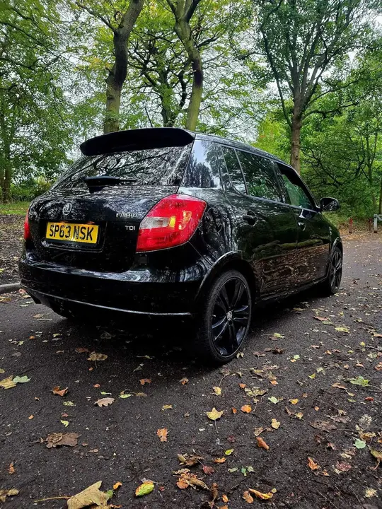 Skoda Fabia 2013 photo 5