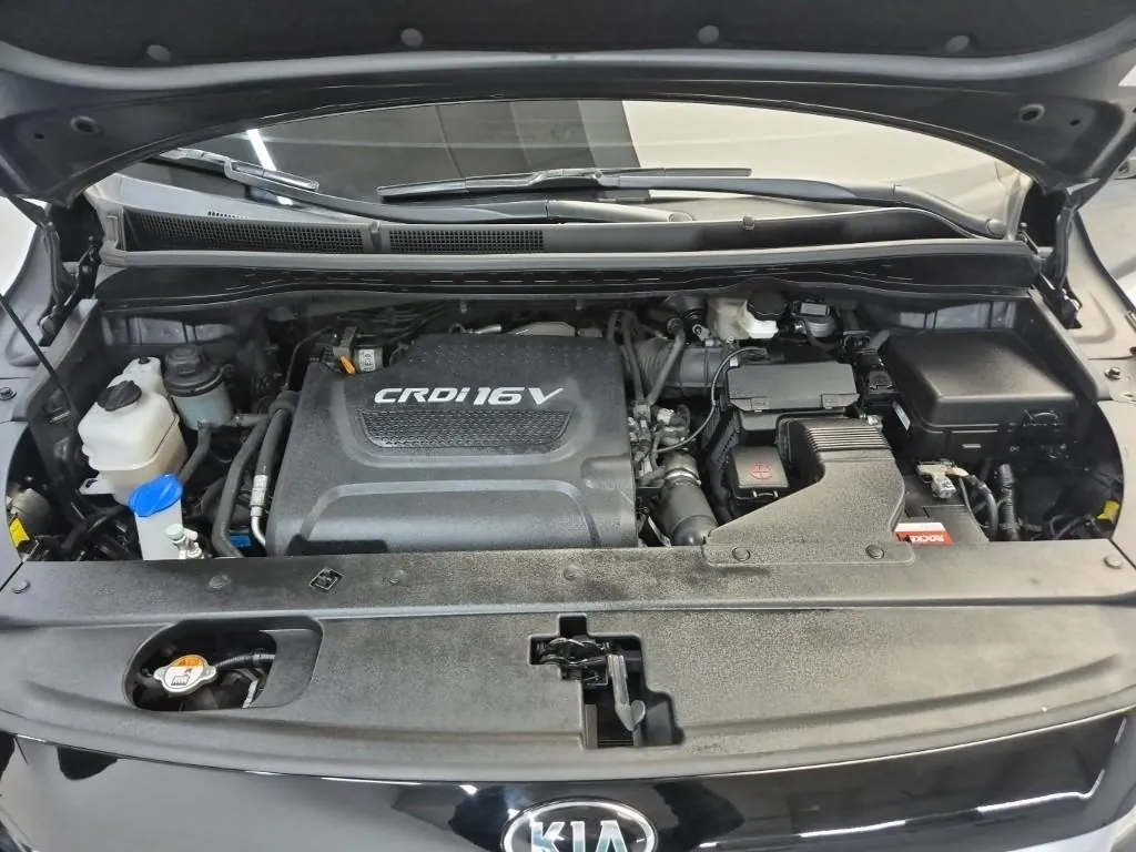 Kia Carnival 2015 photo 5