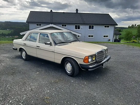 Mercedes-Benz 300 D 1978 photo 3