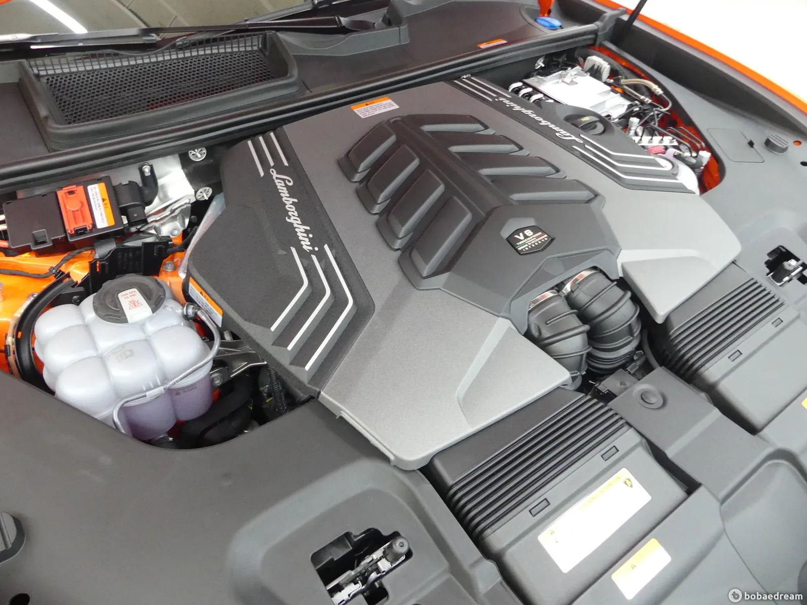 Lamborghini Urus 2026 photo 5