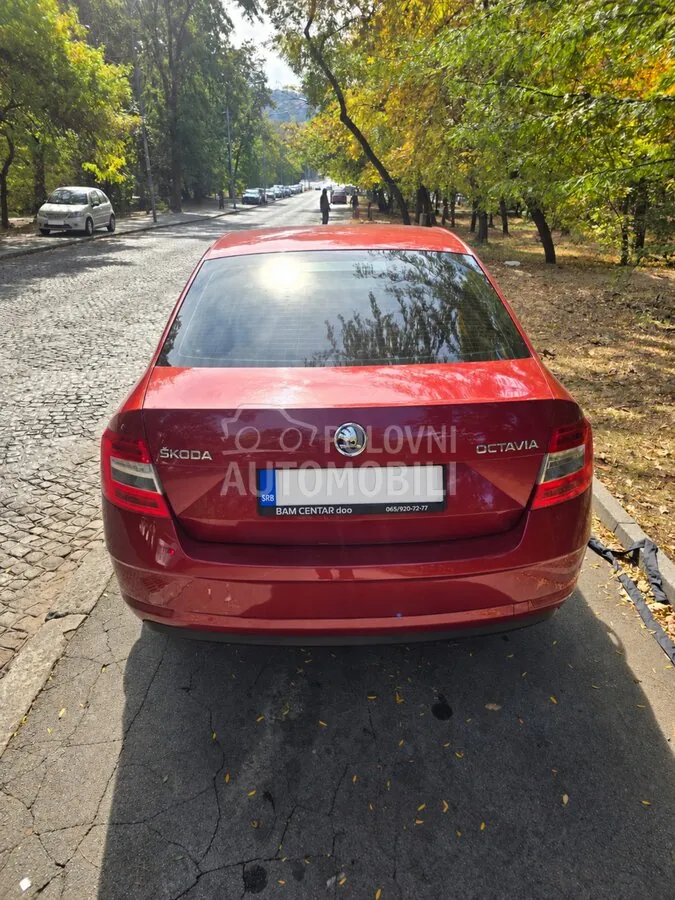 Skoda Octavia 2017 photo 3