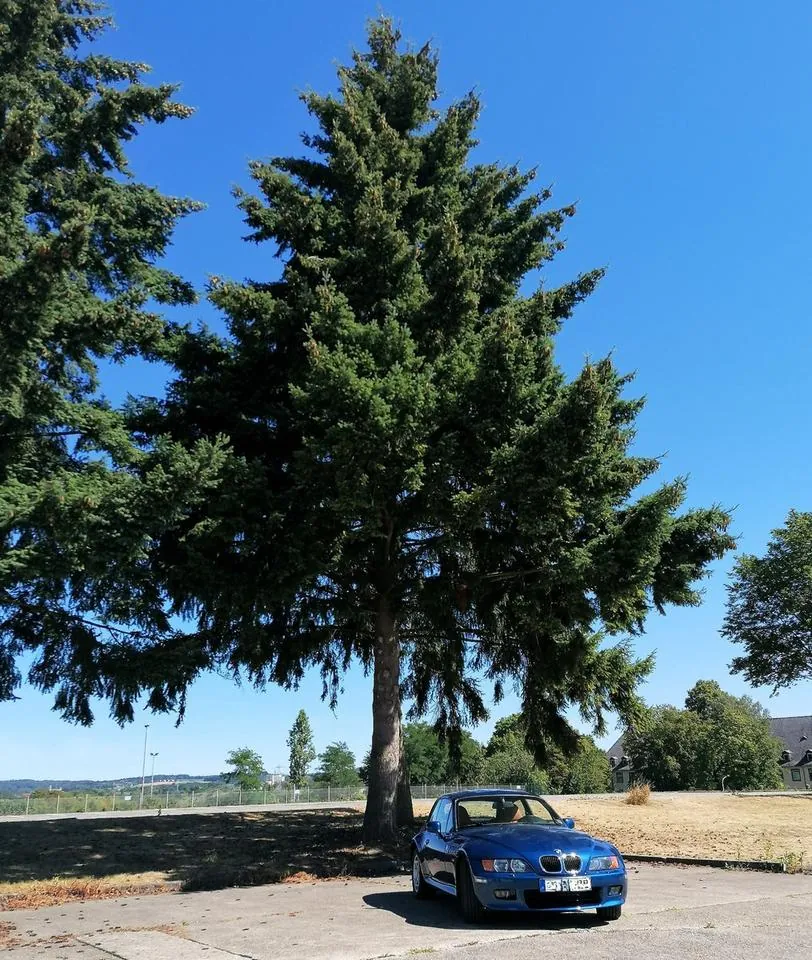 BMW Z3 Coupé
