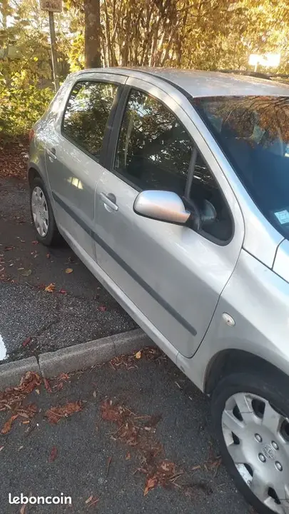 Peugeot 307 2006 photo 3