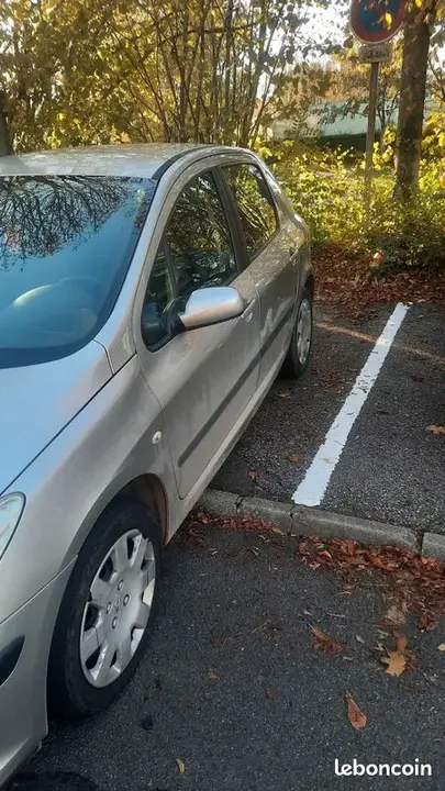 Peugeot 307 2006 photo 4