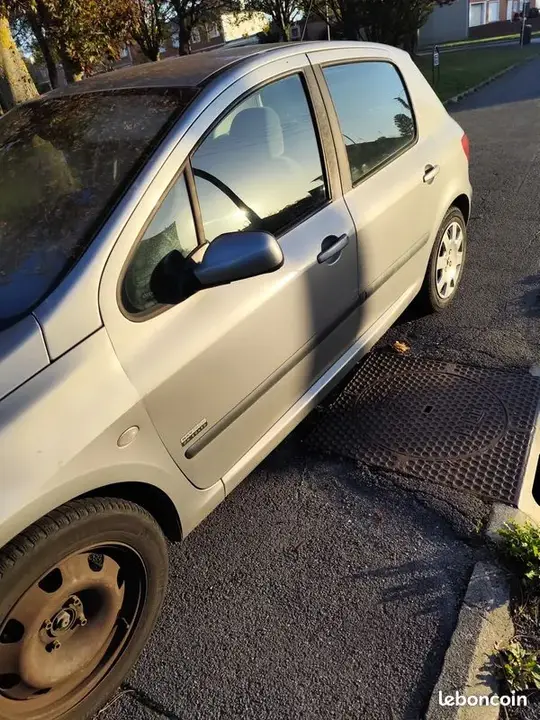 Peugeot 307 2004 photo 2