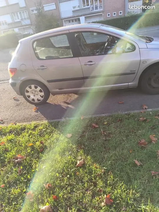 Peugeot 307 2004 photo 3