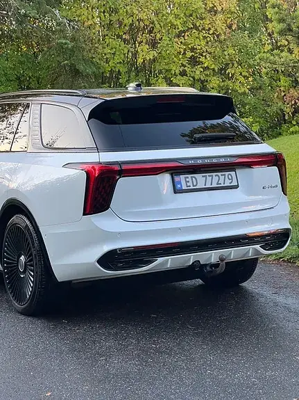 Hongqi E-Hs9 2022 photo 4