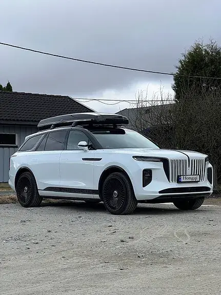 Hongqi E-Hs9 2022 photo 2