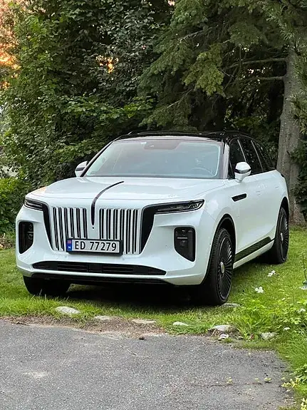 Hongqi E-Hs9 2022 photo 3