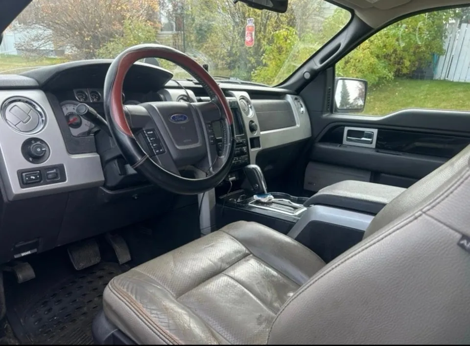Ford F-150 2009 photo 3