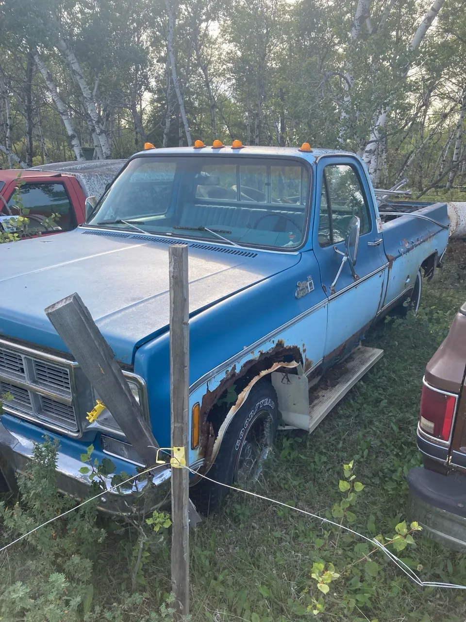 Chevrolet C/K Pickup 1500 1985 photo 3