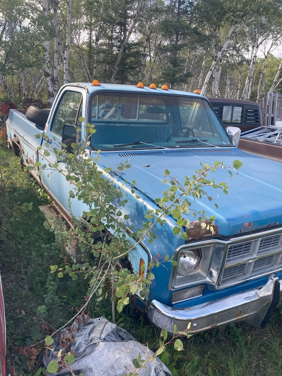 Chevrolet C/K Pickup 1500 1985 photo 2
