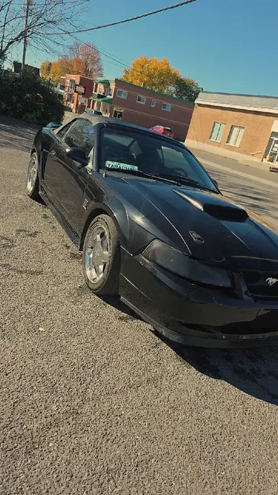 Ford Mustang 2000 photo 3