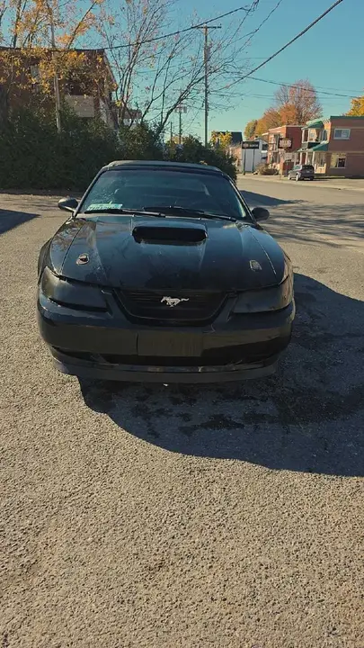 Ford Mustang 2000 photo 2