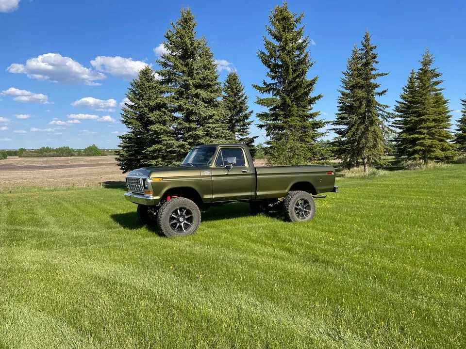 Ford F-150 1979 photo 2