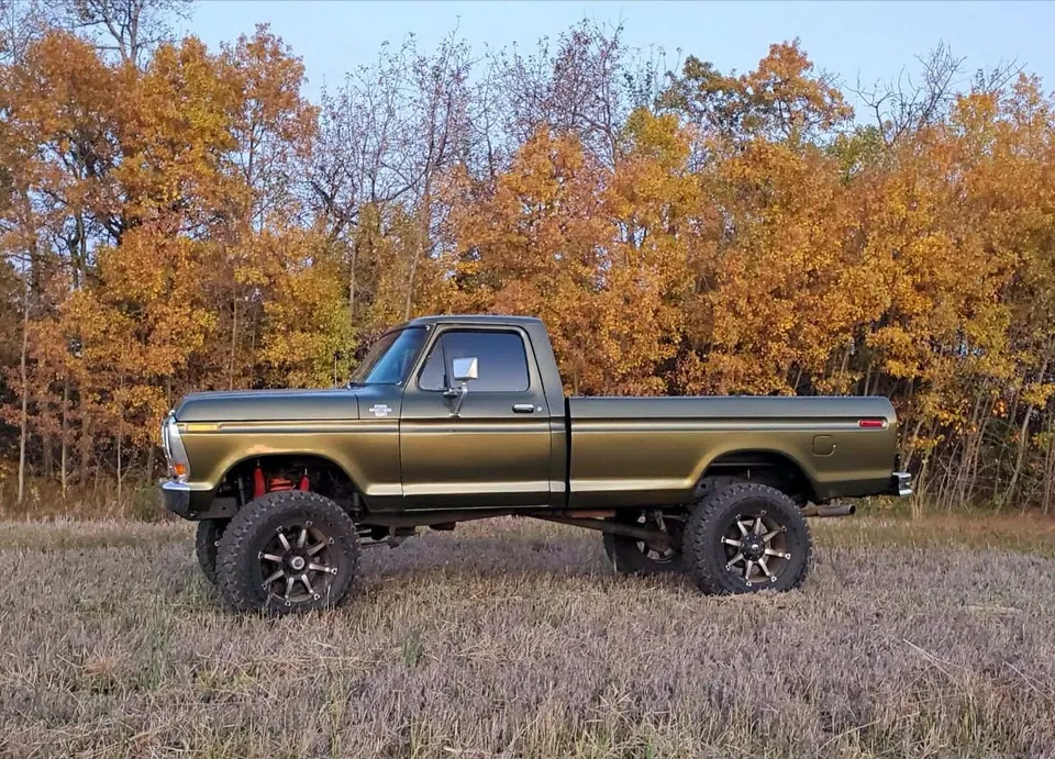 Ford F-150 1979 photo 3