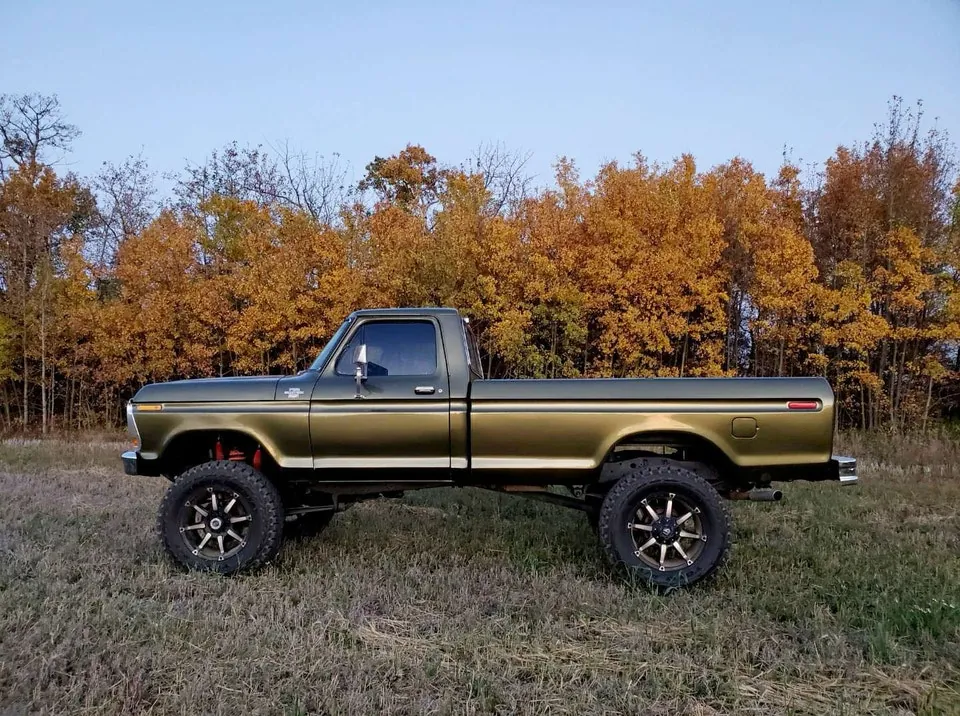 Ford F-150 1979 photo 4